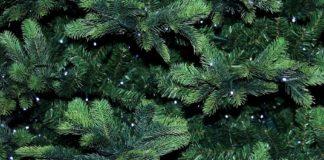 Илюстративна снимка: Пиксабей