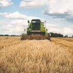 Илюстративна снимка: Пиксабей