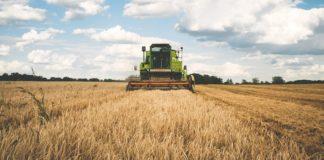 Илюстративна снимка: Пиксабей