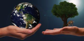 Илюстративна снимка: Пиксабей