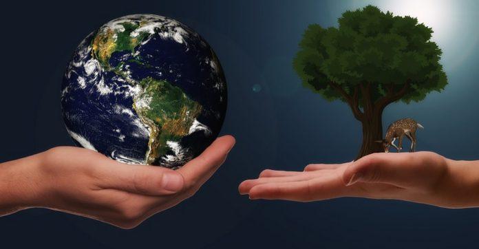 Илюстративна снимка: Пиксабей