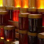 Илюстративна снимка: Пиксабей