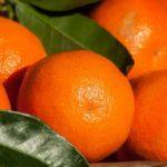 Илюстративна снимка: Пиксабей