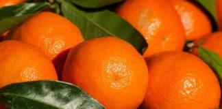 Илюстративна снимка: Пиксабей