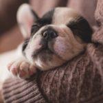 Илюстративна снимка: Пиксабей