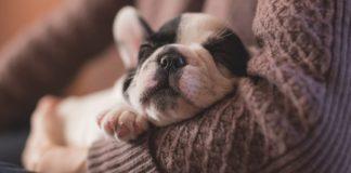 Илюстративна снимка: Пиксабей