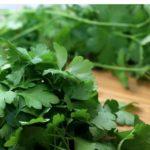 Илюстративна снимка: Пиксабей