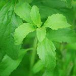 Илюстративна снимка: Пиксабей