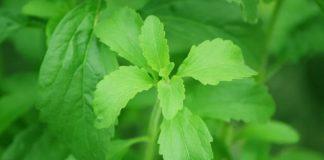 Илюстративна снимка: Пиксабей