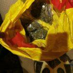 Операциа на полицията