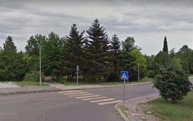 Пешеходна пътека