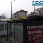 Зелена шапка