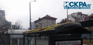 Зелена шапка