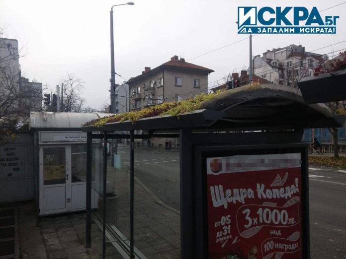 Зелена шапка