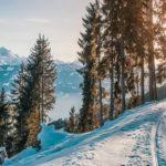 Илюстративна снимка: Пиксабей