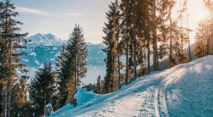 Илюстративна снимка: Пиксабей