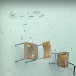 Столове забити в стената на ПМГ Иван Вазов в Добрич