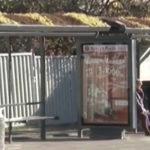 Зелени шапки