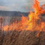 Снимка: Държавен фонд Земеделие