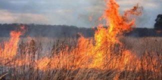 Снимка: Държавен фонд Земеделие