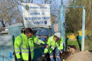 Общински приют за кучета в Бургас