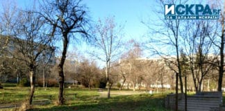 Междублоково пространство