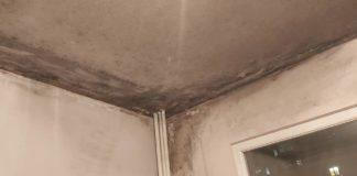 Мухъл в общинско жилище в Стара Загора