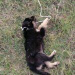 Снимка: Фейсбук, Йорданова Дойчева Дида