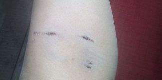 Снимка: Фейсбук, Сливница, Petrova Krasi‎