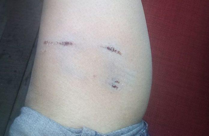 Снимка: Фейсбук, Сливница, Petrova Krasi‎