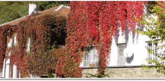 Снимка: Държавната психиатрична болница Св. Иван Рилски