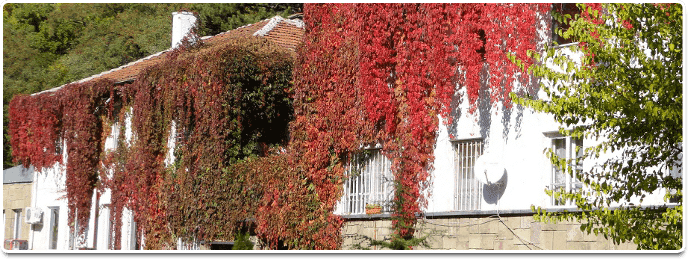 Снимка: Държавната психиатрична болница Св. Иван Рилски