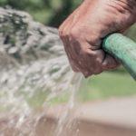 Илюстративна снимка: Пиксабей