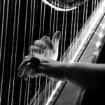 Илюстративна снимка: Пиксабей