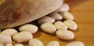 Илюстративна снимка: Пиксабей