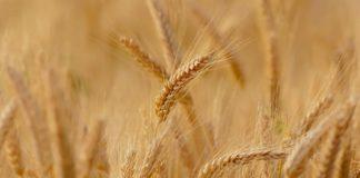 Илюстративна снимка: Пиксабей