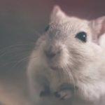 Илюстративна снимка: Пиксабей