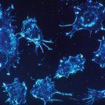 Ракови клетки