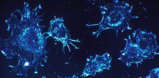 Ракови клетки