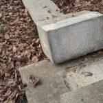 Снимка: Цвета Караянчева, Фейсбук