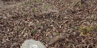 Снимка: Цвета Караянчева, Фейсбук