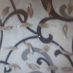 Хероин в Столипиново