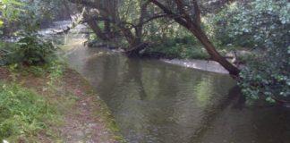 Река Тополница