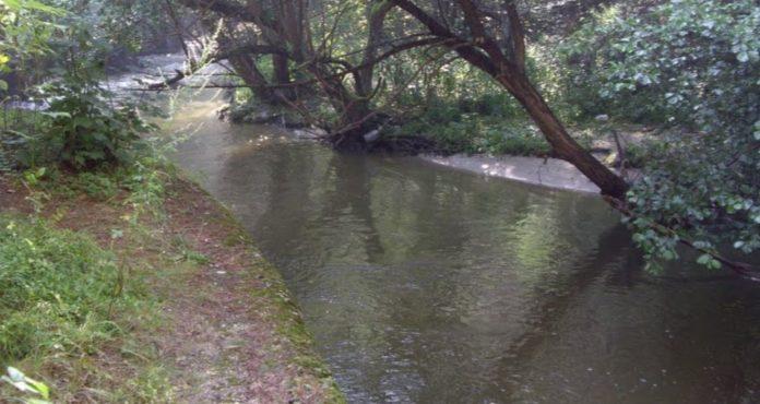 Река Тополница