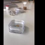 Учени създадоха злато от пластмаса