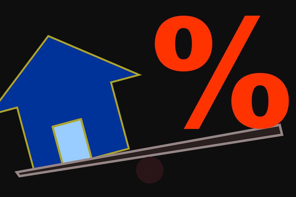 Новоотпуснатите показват впечатляващ ръст от над 50 Това сочат данни