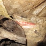 Пожар в Дупница