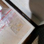 Спецоперация на МВР в Бургас