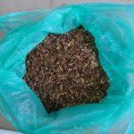 Акция на МВР