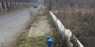 Тревите. Снимка: Личен архив